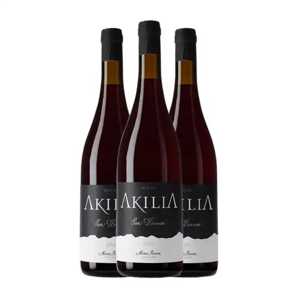 Akilia Villa San Lorenzo Mencía Bierzo Non Filtrato — Sin Filtrar Crianza 75 cl Vino Tinto (Caja de 3 unidades)