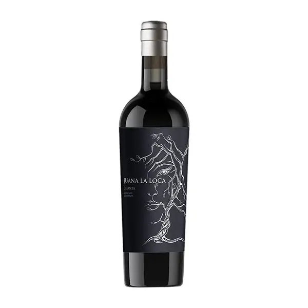 6 Placeres Juana la Loca Syrah Jumilla Edición Limitada Roble 75 cl Vino Tinto