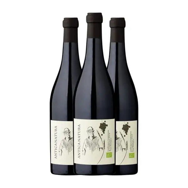 Zanasi. Antica Natura Lambrusco Lambrusco Grasparossa di Castelvetro Eco — Ecológico 75 cl Vino Tinto (Caja de 3 unidades)